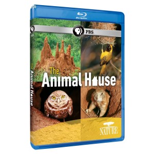 Nature: The Animal House  [Blu-ray] Cover