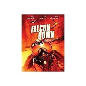 Falcon Down Cover