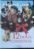 12 Dogs of Christmas, The (Feature Films for Families)