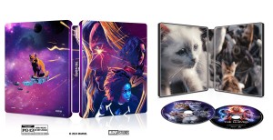 Marvels, The (Wal-Mart Exclusive SteelBook) [4K Ultra HD + Blu-ray + Digital 4K] Cover